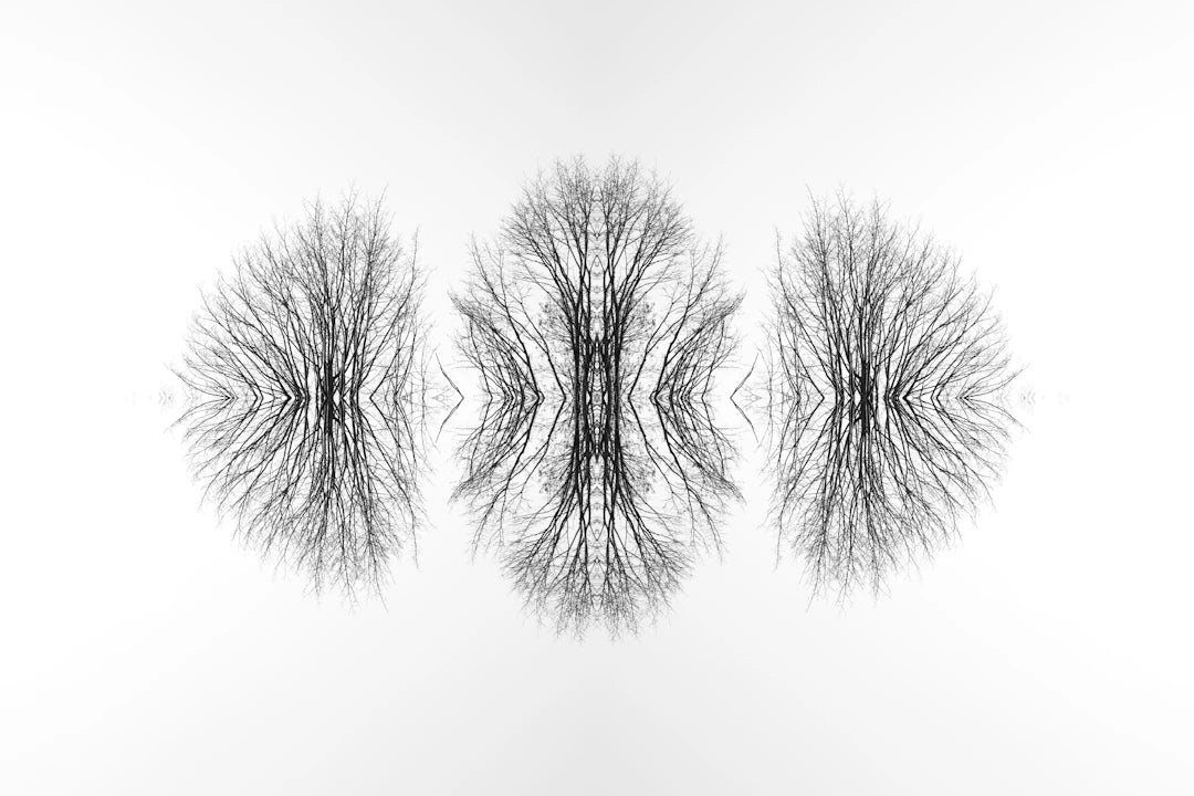 Eco-Friendly Benefits of Maintaining Dyson Filters