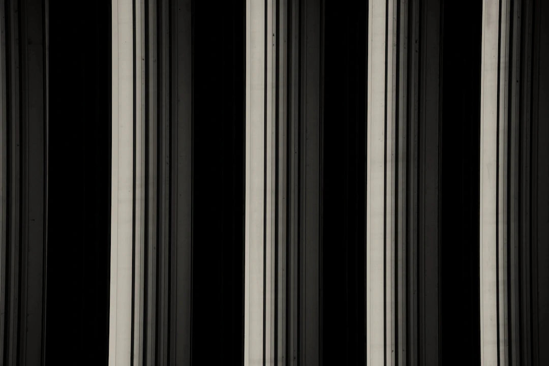 Dyson Filters vs. Other Brands A Comprehensive Guide